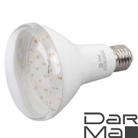 Лампа светодиодная ЭРА E27 15W 2150K прозрачная FITO-15W-Ra90-E27 Б0039173