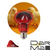 Лампа инфракрасная ЭРА E27 60 Вт для обогрева животных и освещения ИКЗК 230-60 Вт R63 Е27 Б0057281