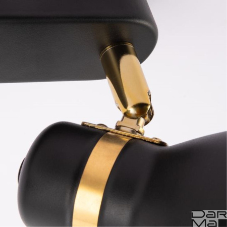 Спот Arte Lamp Fafnir A5047PL-2BK