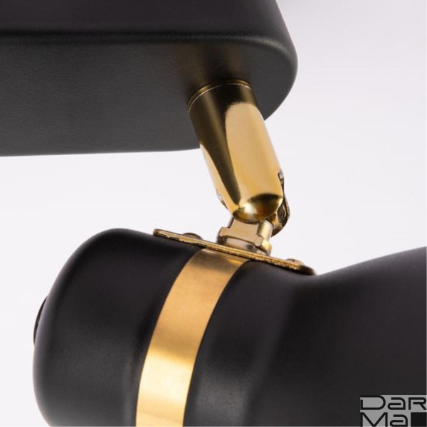 Спот Arte Lamp Fafnir A5047PL-2BK