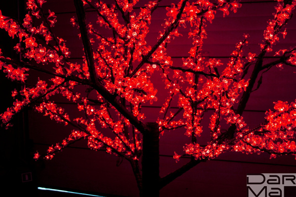 CBL-2.5-1728 LED вишня H:2,5m D2,0 м., красное