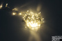 LED-PLS-100-10M-240V-WW/W-F-W/O, Бел.Т/бел.Т флэш на бел.пр., соед.(без силового шнура) С КОЛПАЧКОМ