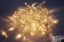 LED-PLS-100-10M-24V-WW/C-W/O, белый Т/прозр. провод, соед. (без шнура) С КОЛПАЧКОМ(НОВЫЙ КОННЕКТОР)