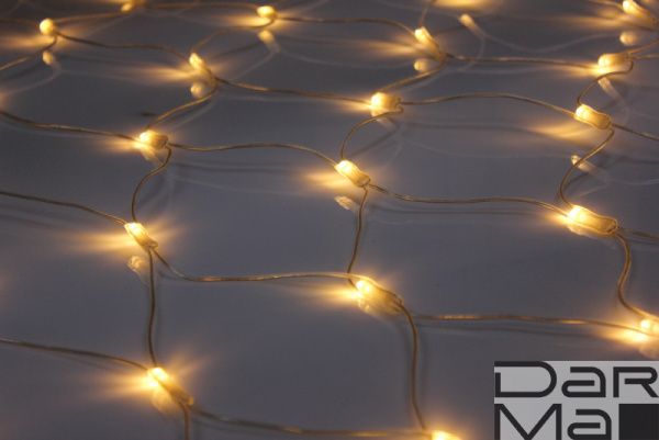 LED-SNL-540-2*4M-240V-WW/C Белые теплые светодиоды на прозр. проводе, соединяемая