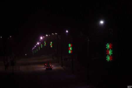 Светодиодная консоль DarMa "Васильки" на металлокаркасе, цвет:красный/зеленый, 230см х 75см, 220