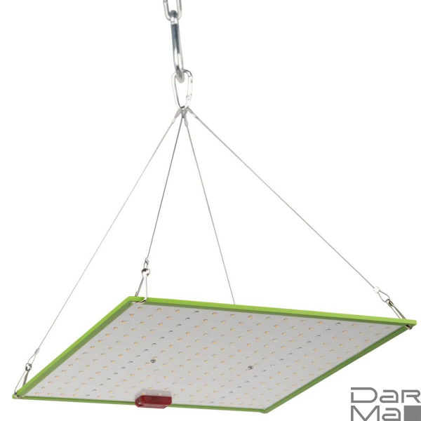 Прожектор светодиодный для растений ЭРА 50W 1310K Fito-80W-Led-QB Б0053285