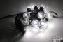 LED-2BLR-2835-50CM-10M-240V-W/BL, Белт-лайт с лампами белый холодный/черный пр.