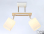 Спот Ambrella light Traditional Modern TR9501