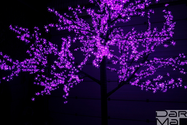 CBL-3.6-2688 Purple LED вишня H3,6m D3,0м фиолет.