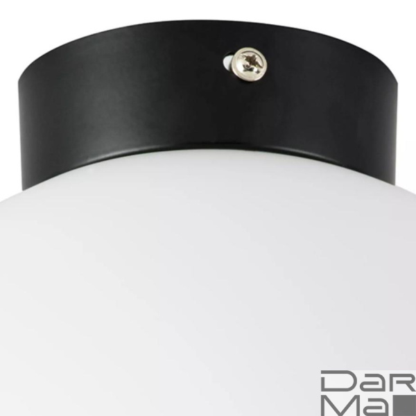 Настенно-потолочный светильник Lightstar Globo 812027