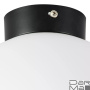 Настенно-потолочный светильник Lightstar Globo 812027