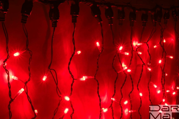 LED-XP-1925-1,5M-230V (красные светодиоды/черн пр)