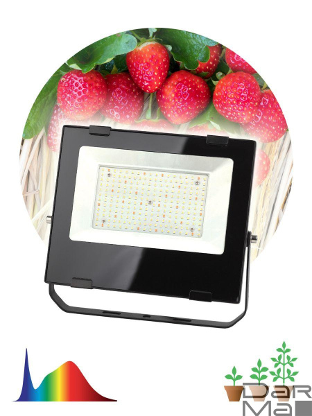 Прожектор светодиодный для растений ЭРА 100W 4000K Fito-100W-Ra90-Led Б0047876