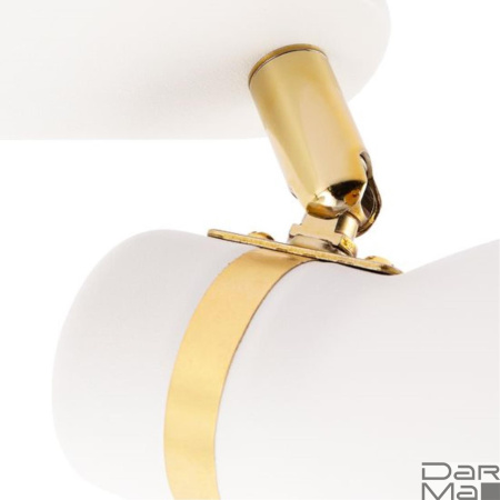 Спот Arte Lamp Fafnir A5047PL-2WH