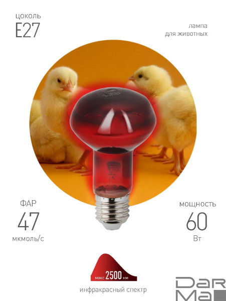 Лампа инфракрасная ЭРА E27 60 Вт для обогрева животных и освещения ИКЗК 230-60 Вт R63 Е27 Б0057281