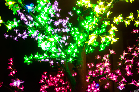 Дерево Вишня RGB  2,0м  высота