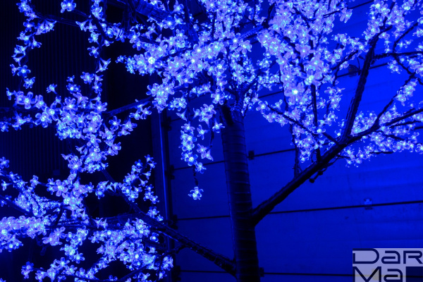 CBL-3.6-2688 Blue LED вишня H:3,6m D3,0 м., синее