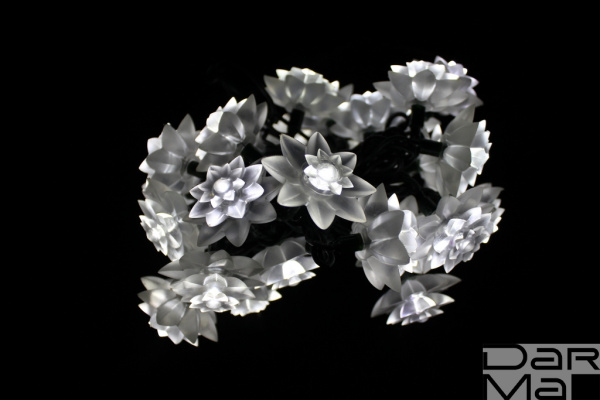 LED-PL-S02-30-3M-240V, 30LED, 3M,  хризантемы