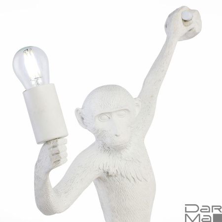 Бра Evoluce Tenato SLE115111-01