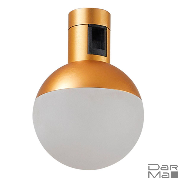 Трековый светодиодный светильник ST Luce Farm ST815.206.05