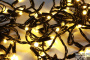 LED-PLS-100-10M-240V-WW/BL-F(WW)-W/O Бел.Т/бел.Т флэш на черн пр.,соед.(без шнура) С КОЛПАЧКОМ NEW23