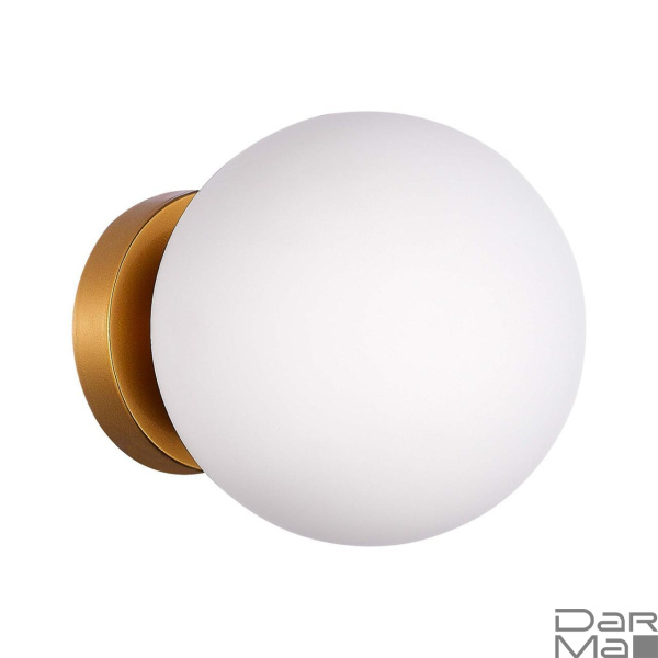 Настенно-потолочный светильник Evoluce Acini SL717.201.01