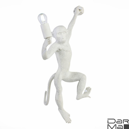 Бра Evoluce Tenato SLE115111-01