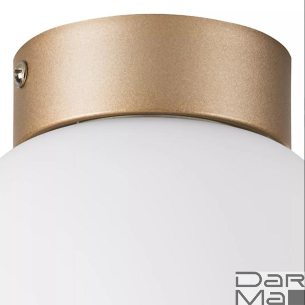 Настенно-потолочный светильник Lightstar Globo 812013