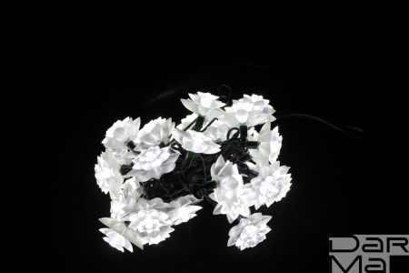 LED-PL-S02-30-3M-240V, 30LED, 3M,  хризантемы