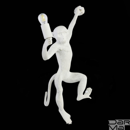 Бра Evoluce Tenato SLE115111-01