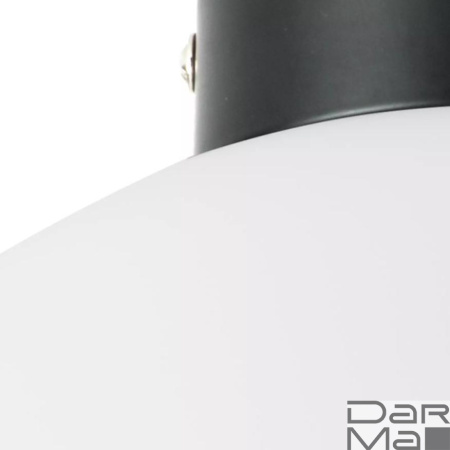 Настенно-потолочный светильник Lightstar Globo 812037