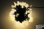 LED-PL-C6-4-140-240V-WW-CP/DG/140LED/14M ягодка Ягодка 3,5х1,5см