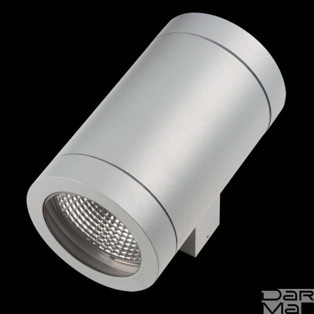 Уличный настенный светильник Lightstar Paro 351619