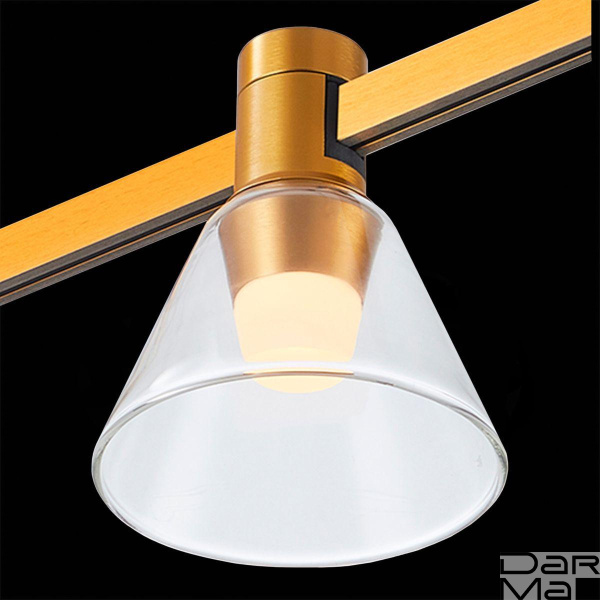 Трековый светодиодный светильник ST Luce Farm ST814.206.03