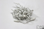 LED-PLS-100-10M-240V-W/W-F-W/O, Белая/белый флэш на бел.пр., соед.(без силового шнура) С КОЛПАЧКОМ
