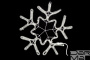 LED-XM-(FR)-2D-CK006-С-W  White Снежинка 56х57см, 230V, NEW!