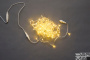 LED-PLS-100-10M-240V-WW/C-F(WW), белая теплая/прозр пров/белый теплый FLASH, IP-54, соединяемая