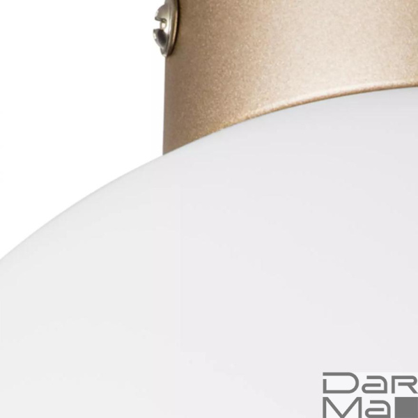 Настенно-потолочный светильник Lightstar Globo 812023