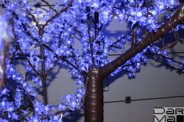 5BLС-E27-165-6-240V,Белт-лайт 5-ти пр. влагозащищ. ТЕМНО-ЗЕЛЕНЫЙ шлейф, ТЕМНО-ЗЕЛЕНЫЙ патрон