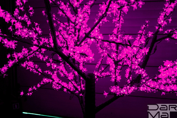 CBL-2.5-1728 LED вишня H:2,5m D2,0 м., розовое