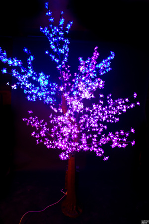 Дерево Вишня RGB  2,0м  высота