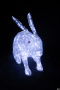 Световая фигура 3D Кролик 3D 106СМ 1600 LED 24V