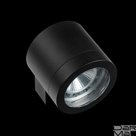 Уличный настенный светильник Lightstar Paro 350617