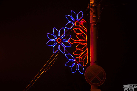 Светодиодная консоль DarMa "Васильки 2" на металлокаркасе, цвет:красный/синий, 160см х 85см, 220