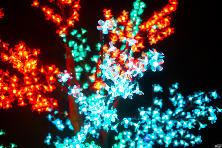 Дерево Вишня RGB  2,0м  высота