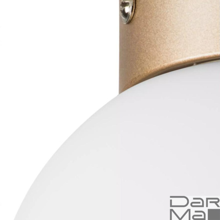 Настенно-потолочный светильник Lightstar Globo 812013