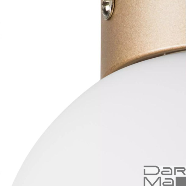 Настенно-потолочный светильник Lightstar Globo 812013