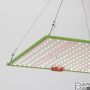 Прожектор светодиодный для растений ЭРА 50W 1310K Fito-80W-Led-QB Б0053285