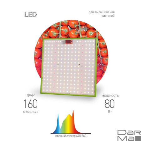 Прожектор светодиодный для растений ЭРА 50W 1310K Fito-80W-Led-QB Б0053285