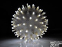 LED-FBP-160MM-240V-W+W (Flash)